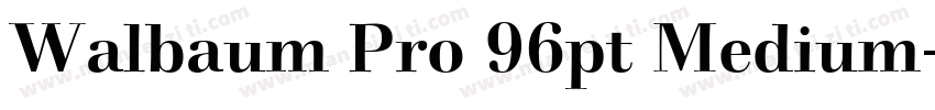Walbaum Pro 96pt Medium字体转换